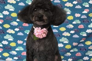 6月のお友達☆