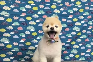 6月のお友達☆