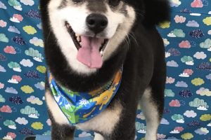 6月のお友達☆