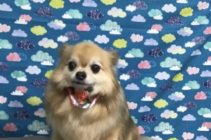 6月のお友達☆