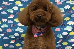 6月のお友達☆