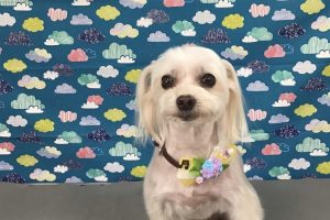 6月のお友達☆