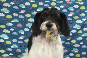 6月のお友達☆