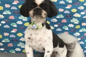 6月のお友達☆