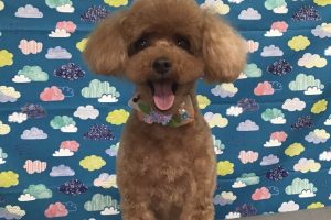 6月のお友達☆