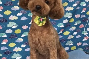 6月のお友達☆