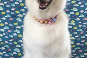 6月のお友達☆