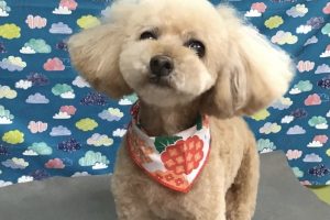 6月のお友達☆