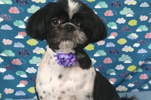 6月のお友達☆