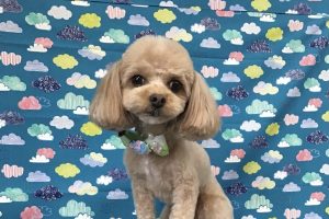 6月のお友達☆