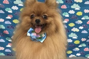 6月のお友達☆