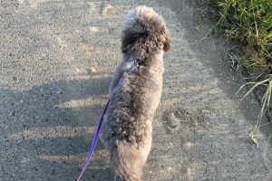 お泊まり中☆