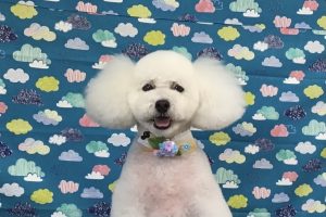 6月のお友達☆