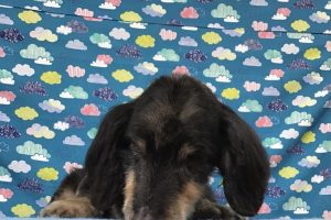 6月のお友達☆