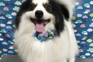 6月のお友達☆