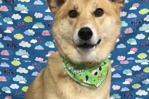 6月のお友達☆