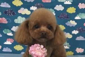 6月のお友達☆