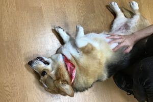お泊まり中☆