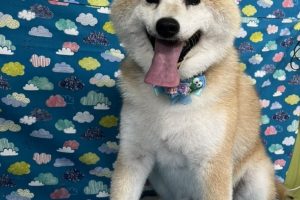 6月のお友達☆