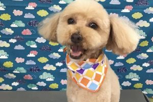 6月のお友達☆