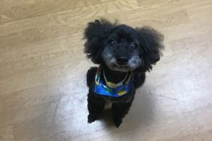 お泊まり中☆