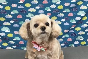 6月のお友達☆