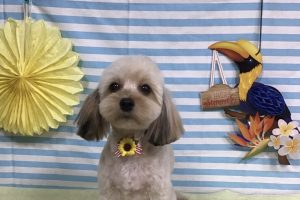 7月のお友達☆