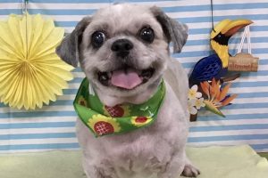 7月のお友達☆