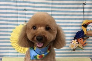 7月のお友達☆