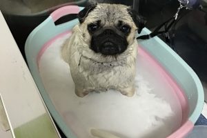 7月のお友達☆