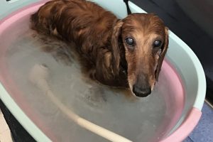 7月のお友達☆
