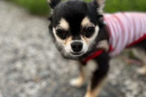 お泊まり中☆