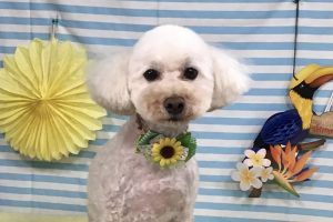 7月のお友達☆