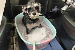 7月のお友達☆