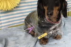 7月のお友達☆