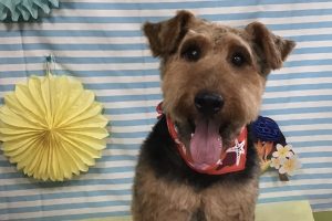 7月のお友達☆