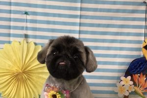 7月のお友達☆