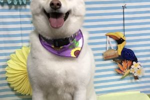 7月のお友達☆