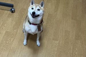 お泊まり中☆