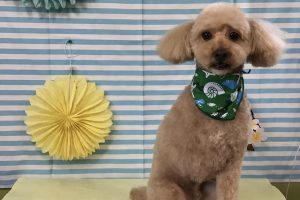 7月のお友達☆