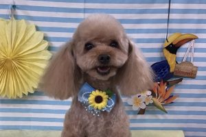 7月のお友達☆