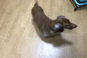 お泊まり☆