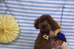 7月のお友達☆