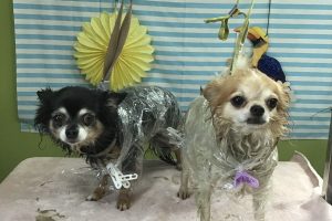 7月のお友達☆