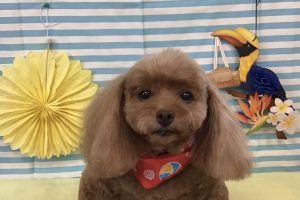 7月のお友達☆