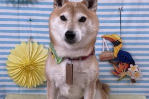 7月のお友達☆