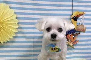 7月のお友達☆