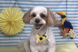 7月のお友達☆