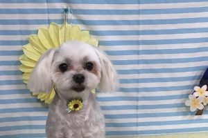 7月のお友達☆