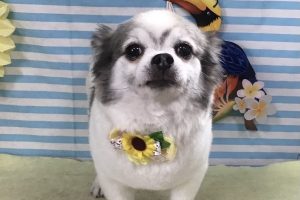 7月のお友達☆